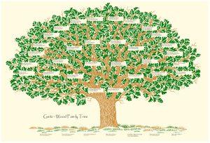 A Simple Family Tree - Why Not Keep Records of Family Genealogy?